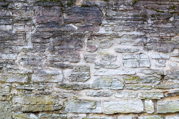 Stone brick wall texture with shallow depth of field