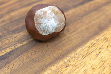 Single Chestnut Nut on Rustic Wooden Table with Natural Light