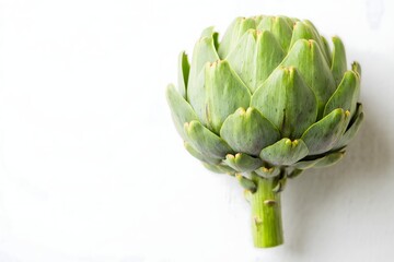Fresh Artichoke Close-up on White Background