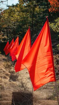 Video Three red flags standing in a green field with trees in the background