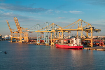 Container terminal with gantry cranes and cargo ship