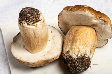 Boletus edulis, cepe, porcini mushrooms unwashed, tasty vegetarian food from forest, ingrediens for...