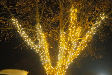 Garlands of glowing small bulbs, hanging on a tree in an evening dark park, and swinging. The theme of the New Year and Christmas. Festive atmosphere. Beautiful electric outdoor decorations. Xmas joy