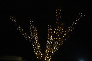 Garlands of glowing small bulbs, hanging on a tree in an evening dark park, and swinging. The theme of the New Year and Christmas. Festive atmosphere. Beautiful electric outdoor decorations. Xmas joy