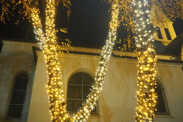 Garlands of glowing small bulbs, hanging on a tree in an evening dark park, and swinging. The theme of the New Year and Christmas. Festive atmosphere. Beautiful electric outdoor decorations. Xmas joy