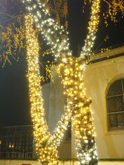 Garlands of glowing small bulbs, hanging on a tree in an evening dark park, and swinging. The theme of the New Year and Christmas. Festive atmosphere. Beautiful electric outdoor decorations. Xmas joy