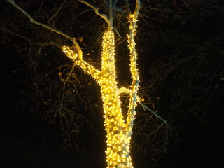 Garlands of glowing small bulbs, hanging on a tree in an evening dark park, and swinging. The theme of the New Year and Christmas. Festive atmosphere. Beautiful electric outdoor decorations. Xmas joy