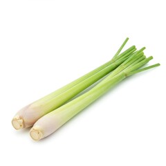 Fototapeta premium Vibrant green stalk and bulb of fresh lemongrass isolated cleanly on a pure white background, highlighting its texture and bright color ,copy space ,leaf ,isolated