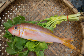fresh fish in a basket