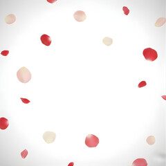 Floating Rose Petals on White