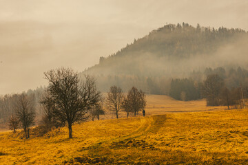 Krzyżna Góra w Karpnikach - Rudawy Janowickie, podczas roztopów po zimie, brązowowe, rude krajobrazy Gór Sokolich © krzys ser