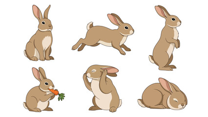 Modern vector illustration of rabbit in six poses including hopping and resting, cute flat animal set isolated on white background, ideal for kids and education