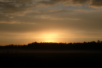 Warm sunset sky above dark forest horizon at dusk