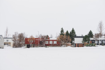 January 15, 2024, Dalv&iacute;k, Iceland - A quiet residential street with houses and trees covered in snow during a heavy snowfall.
