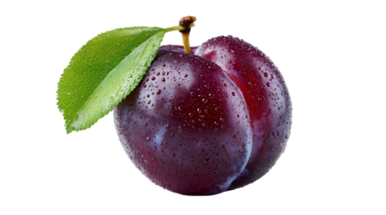 Single Whole Purple Plum with Morning Dew on Grey Background