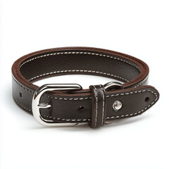 Various pet products isolated on white background. Accessories and supplies for dogs and cats