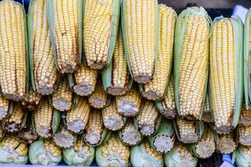corn sale at a street market in Sao Paulo, Brazil.