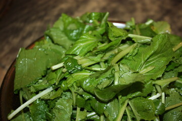 Korean Food Yeolmu Geotjeori