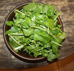 Korean Food Yeolmu Geotjeori