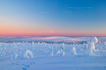 winter landscape with snow