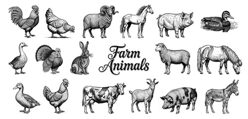 Farm animals collection in vintage line art