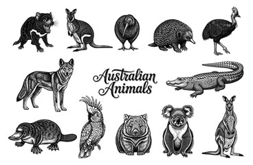 Australian animals collection in line art