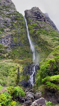 Poco do Bacalhau waterfall with lush greenery