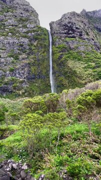 Poco do Bacalhau waterfall amidst lush greenery