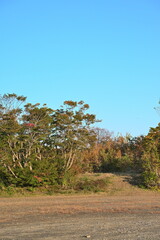 新潟県長岡市八方台から見渡す草地と空（新潟県長岡市）