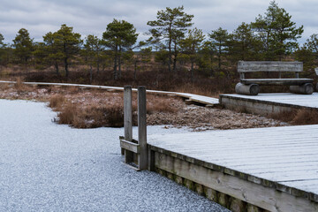 Obraz premium Wooden boardwalk and bench on a frozen bog lake in Estonia during late autumn with frost covering the nature landscape.