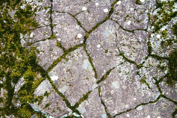 Stone pavement texture with moss growth and cracked stone natural outdoor background