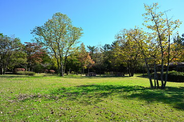 新潟市の濁川公園で見られる紅葉の景色（新潟県新潟市）