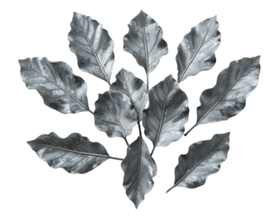Silver leaves arranged in symmetric plant shape
