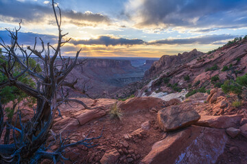 beautiful sunset in canyonlands national park in utah, usa