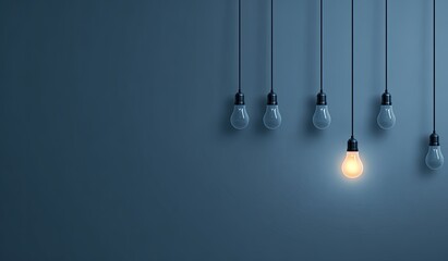 One lit bulb hangs among others, contrasting in dim room