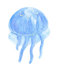 Watercolor illustration of jellyfish on white background. Undersea life, sea animal. © Alfiia