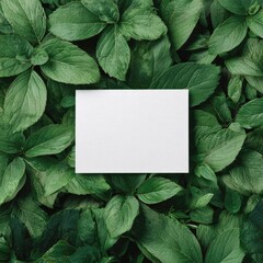 A blank white card sits atop lush green leaves, offering space for text and designs