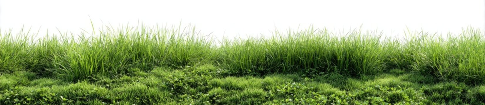 Ground-Level Images – Browse 11,510 Stock Photos, Vectors, and Video ...