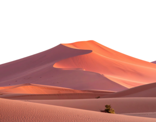 Sunset light on large sand dunes