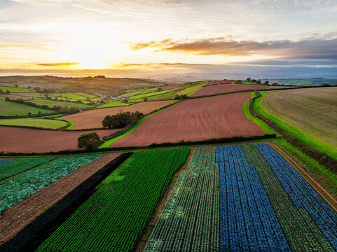 Colours of autumn Fields and Farms over Sheldon from a drone, Torbay, Devon, England