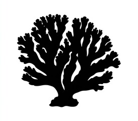 Black silhouette of a branching coral against a white background
