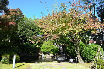 天寿園の庭園内に色づく紅葉（新潟県新潟市中央区）