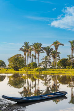 Tranquil scene of a boat and palms in Casanare, Colombia