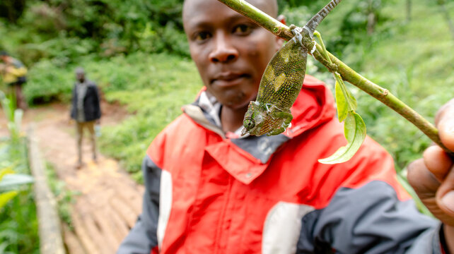 Chagga tribe guide with chameleon in Materuni town