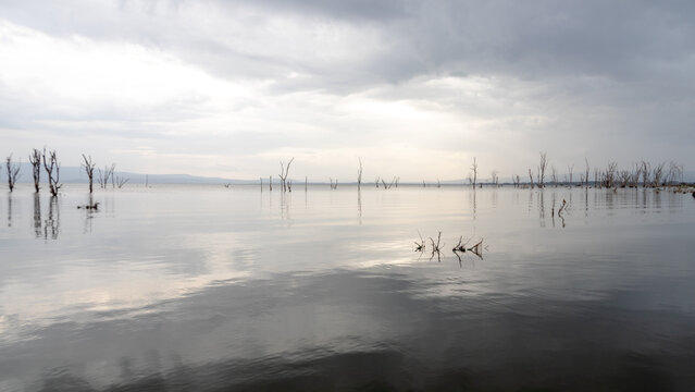 Serene view of Lake Naivasha with flooded trees