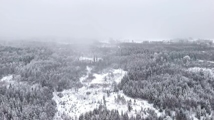 Drone advances above a forest during heavy snowfall, passing clearings and dense trees.