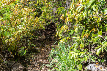 Mafate Circus Galets river and mountains in Reunion Island in Indian Ocean