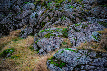 Intricate Textures of Moss-Covered Rocks and Dry Winter Grass