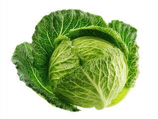 A vibrant, close-up studio shot of a healthy, round green cabbage against a white background