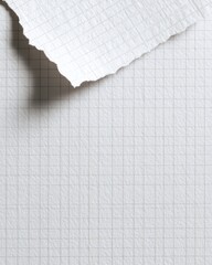 Torn sheet of graph paper with textured surface. Fragment hangs over the background
